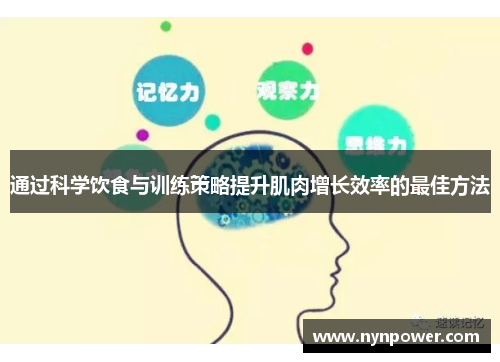 通过科学饮食与训练策略提升肌肉增长效率的最佳方法