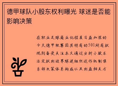德甲球队小股东权利曝光 球迷是否能影响决策